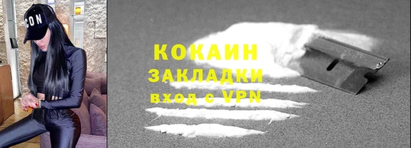 стаф Бородино