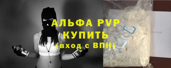 стаф Бородино
