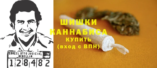 стаф Бородино