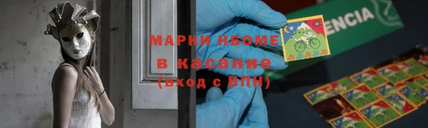 стаф Бородино