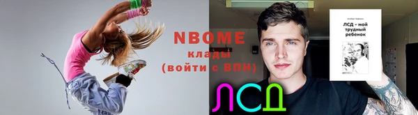 стаф Бородино