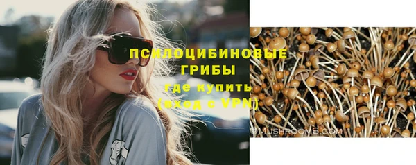 стаф Бородино