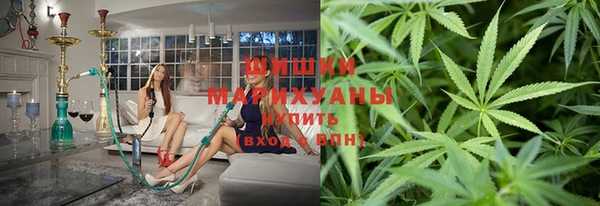 стаф Бородино