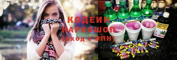 стаф Бородино